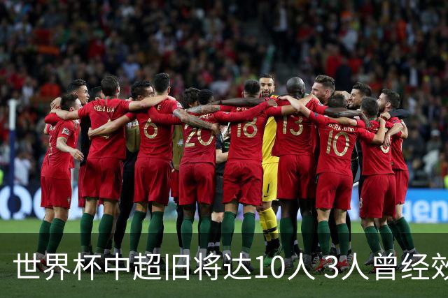 世界杯中超旧将达10人 3人曾经效力国安海港两将